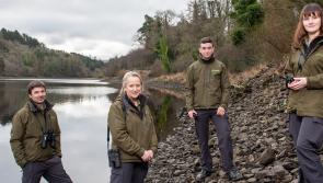Inland Fisheries Ireland  recruiting  seasonal fisheries officers in Donegal 