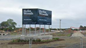 Council asked to provide report on removal of hedge by developers in Newbridge 