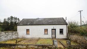 Kilcommon cottage with great potential in Youbid.ie auction 