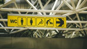 People of Carlow asked to voice views on providing more changing places toilets for disabled people 