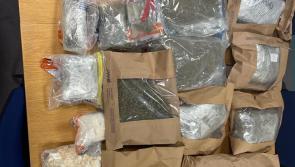 Laois Garda raid discovers €250,000 of drugs discovered with man arrested