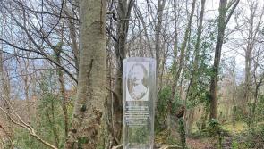 John McCarron's new art installation in Swan's Park