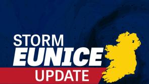 Storm Eunice: Tragedy as council worker in South East is killed by falling tree 