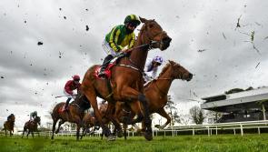 RACING: Top tips and analysis for Saturday racing at Gowran Park
