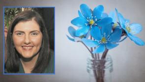 Special memorial games and events to remember late Donna Boyle (née Dunnion)