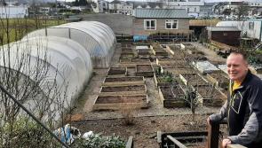 It's ready, steady, grow for Twin Towns Community Garden group
