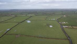 Top quality Limerick farm up for auction