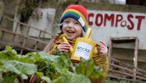 Kilkenny innovators encouraged to “Be the change you seek” and apply to Social Entrepreneurs Ireland 

 