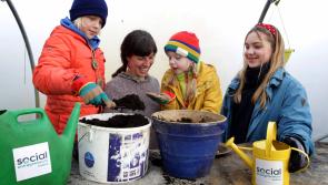 Social Entrepreneurs Ireland is looking for people in Tipperary