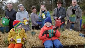 Social Entrepreneurs Ireland is looking for people in Tipperary