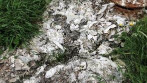 Irish Water slammed as raw sewage seeps from manholes in Longford estate