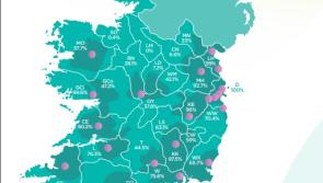 More family domestic violence refuges 'urgently' needed in Kilkenny and South East
