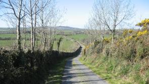 Donegal landowners reminded hedge-cutting season comes to an end today