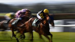 Summer clues aplenty as big stables unleash top prospects in Dundalk 
