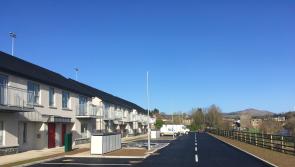 Tenants could move into newly built social houses in Waterford within weeks 