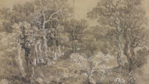 Waterford woman curates exhibition of drawings on display for first time in Ireland 