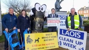 Spring into action to help clean up Laois