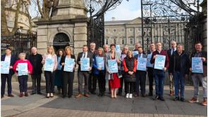 Less than a fifth assessment of needs for Laois children meet legal timeframe 