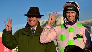The 80/1 Willie Mullins accumulator that could beat the bookies at Cheltenham 