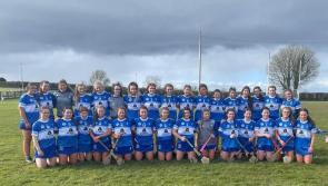 Awesome Laois power past Kildare and into All Ireland Camogie final