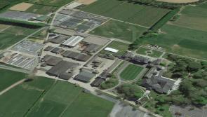 New equine educational training building planned for Kilkenny