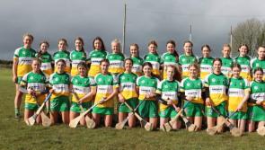 Outstanding Offaly march into All-Ireland final after dominant win 