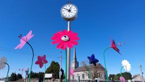 Portlaoise set to get 100,000 new flowers 