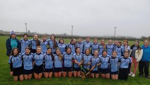 No cheer for Callan as St Brigid's fall at the final hurdle