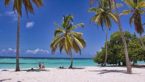 Companies invited to build a beach resort in land-locked Laois
