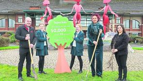 Thornhill College creates Derry wildlife habitat