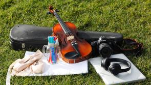 Limerick artists urged to apply for development scheme 