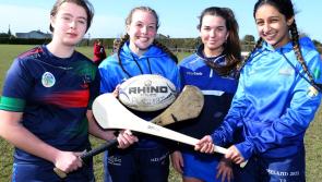 IN PICTURES: Portarlignton RFC and Banrion Gaels Camogie club showcase talents to Canadian Rugby club