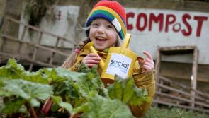 &euro;140,000 funding available for Kildare's social entrepreneurs 