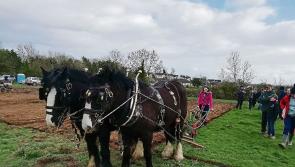 Lots to discover, explore and enjoy as Longford Ploughing Championships return
