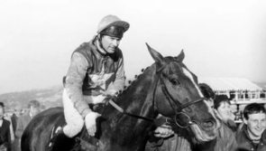 How a County Derry-born horse won the Gold Cup
