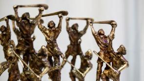 Kilkenny among the winners in camogie All-Stars