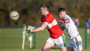 Portlaoise prove too powerful for Courtwood in Division 1 league opener