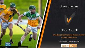 WATCH LIVE: Offaly v Antrim Division 1 Hurling League Relegation Playoff