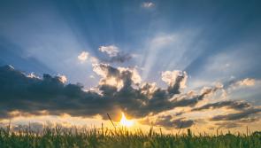 WEATHER FORECAST: How long is the good weather set to last in Ireland