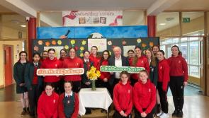 Tipperary schools play their part for Daffodil Day