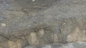 330-Million-Year-Old burrows discovered in County Clare
