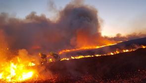 High fire risk warning issued for Limerick