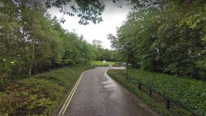 Man punched to the ground during Letterkenny park assault