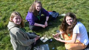 Pictures: Scouts leave no trace but make plenty of memories at Gowran Park