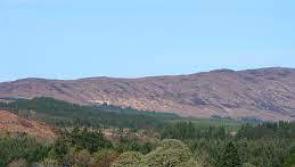 Leitrim's Ard Nahoo Eco Retreat  on of Ireland's Top Sustainable Wedding Venues