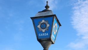 'Lowest of the low': Gardai investigate theft from Ukrainian woman in Limerick town
