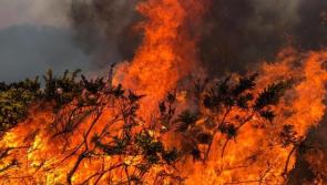 Fire service tackle Inishowen gorse fire for over five hours