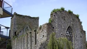  St Dominic’s Abbey in Cashel ‘should be opened up by the OPW’   