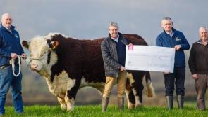 Former rugby great lends support to campaign to secure hospice for Offaly