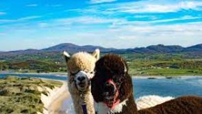 Climb for Charlie in Inishowen